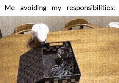 hopefully not a repost