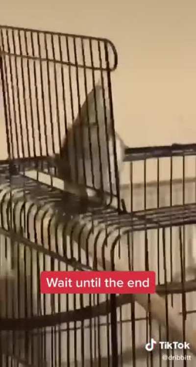 Don't do it.