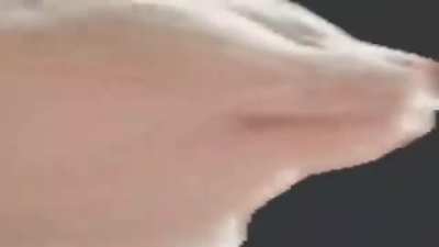 TEMAZO