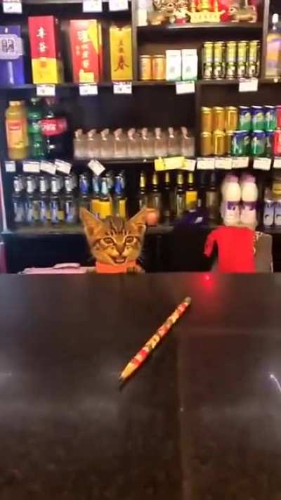 I haven’t seen ever a cute shopkeeper like this!