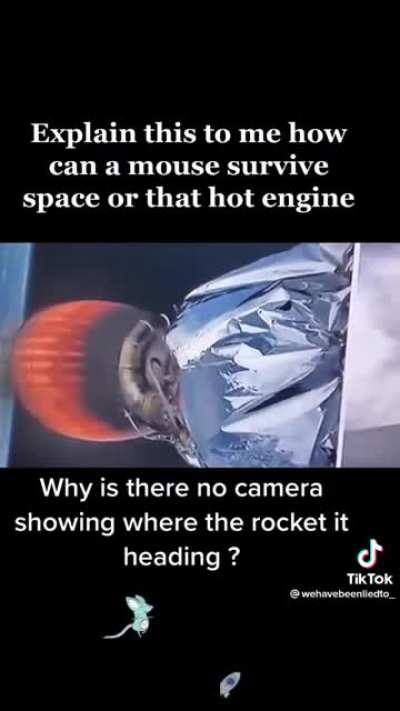 wehavebeenliedto_