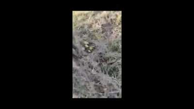 Hike gone wrong