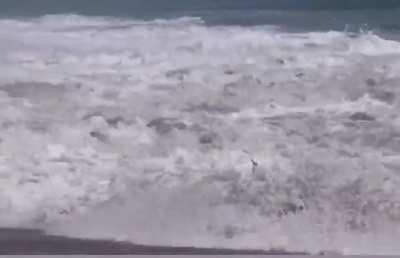 A 16 year old lifeguard rescued a 10 year old boy who was being swept away by powerful waves in California.