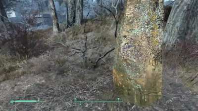 Big guy was waiting for me behind that tree