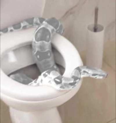 Touhou Toilets #20