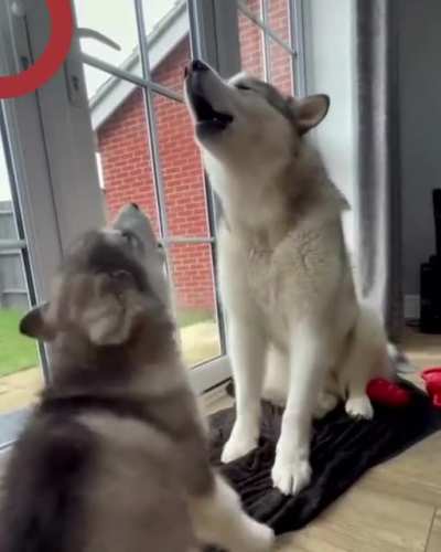 Son, today I will teach you how to flirt with a pretty girl