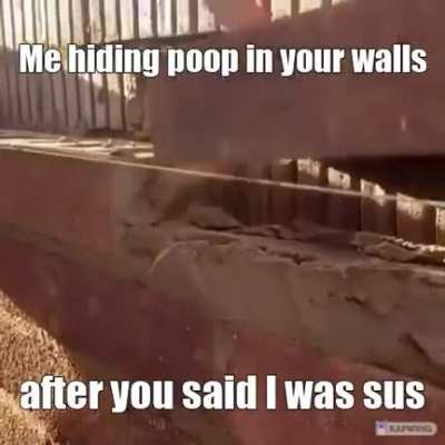 poop