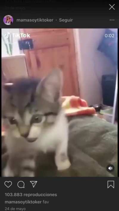 Awwwwww.