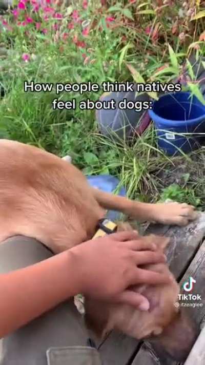 Those 90s movies with Indigenous characters were wrong
