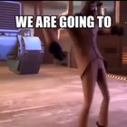 We are going to