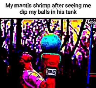 NoOOoOoO!1! 1! 1