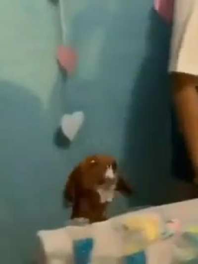 Bolin