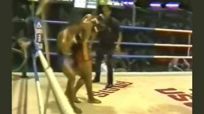 One of the smoothest/brutal Knockouts you will ever see