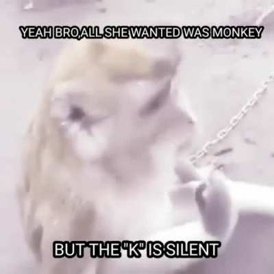 Poor monkey