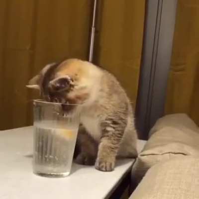 MRW i cant figure sh1t out