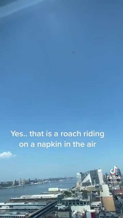 Magic carpet ride