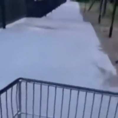 The next tony hawk