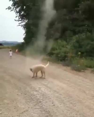 Floofers, Calmer of the Storm