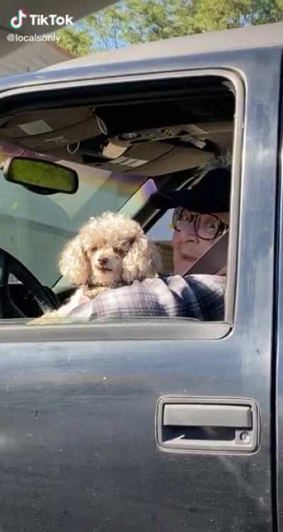 CaT??
