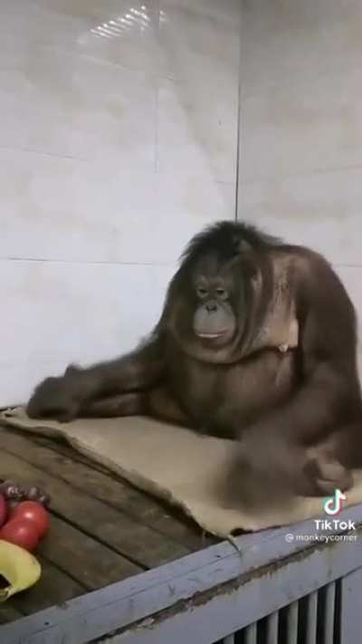Gettin ready for a nap