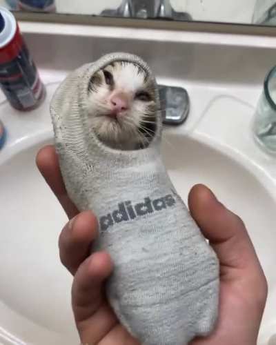 The Creature has been contained