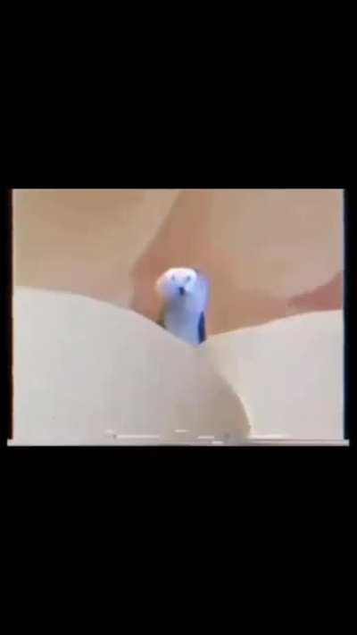 Memes