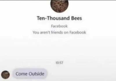Bees