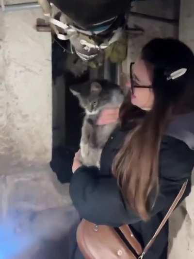 🐈‍⬛ Cat Mia survived a russian strike and waited to be rescued

❤️A small miracle happened in Ternopil. Nine days after russia’s brutal attack on a residential building, rescuers finally found cat Mia. Her paw was injured, her fur was burned, she was hung