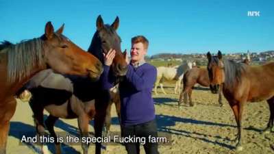 Welcome to the town of “Fucking!”