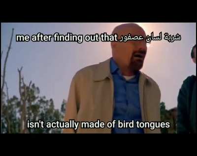 Egyptian slander (Part 2)