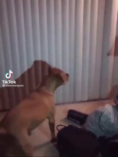 Cuidado chat e ELE