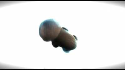 Oddsock one nanosecond without the zaza