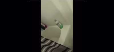 not the cat