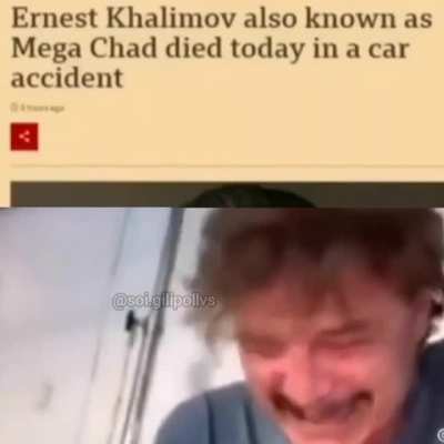 (。·́︿·̀。)