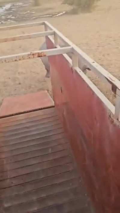 How strong 💪