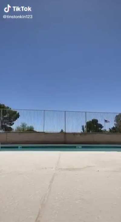 dive