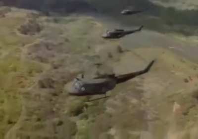 floppa vietnam flashback