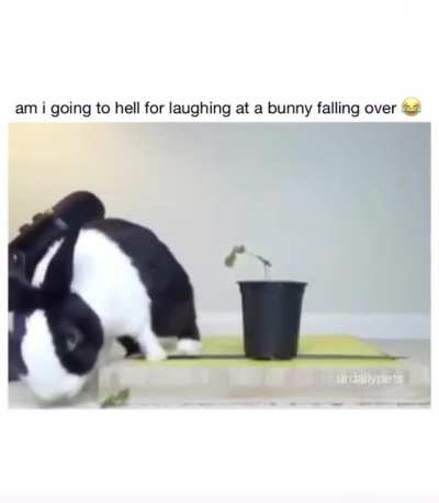 Video I found on Instagram