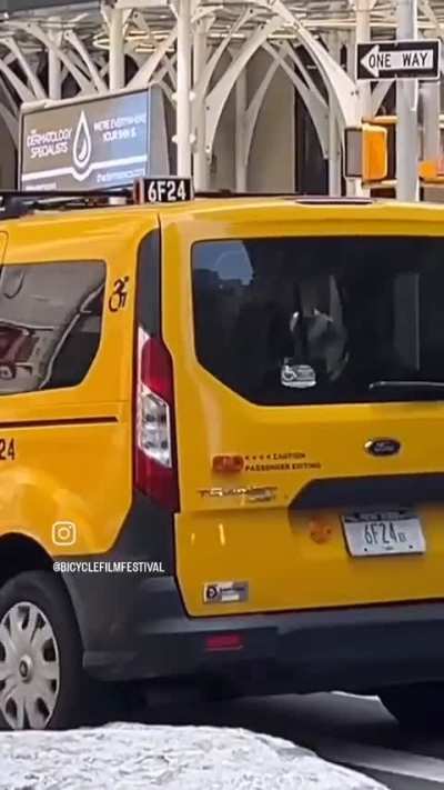 Never a dull moment in NYC