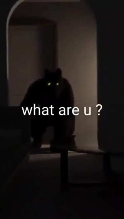 furry 😨