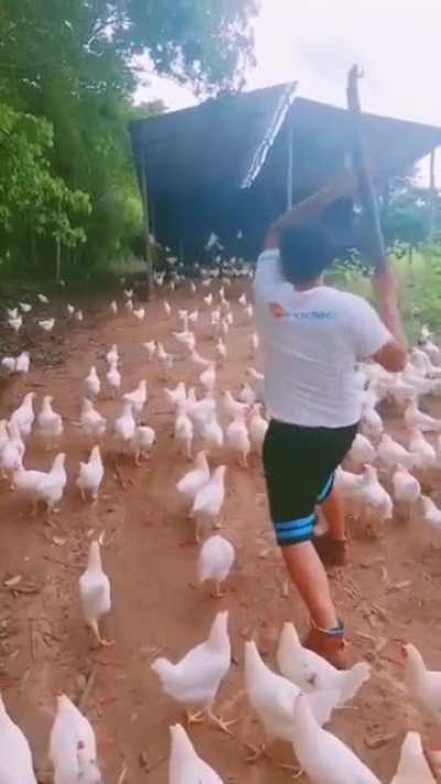 Attack!