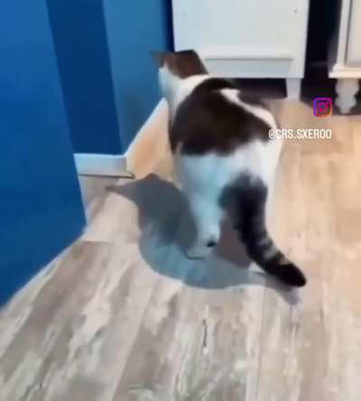 Reboladinha