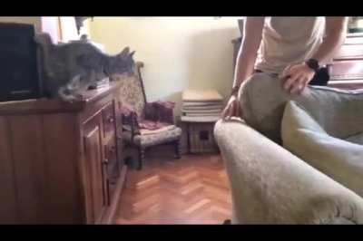 Maybe Maybe Maybe