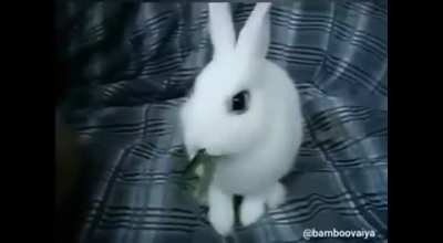 esse ta bem