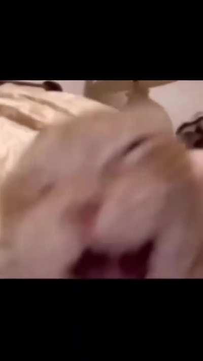 UUUAAHAHAHAAA