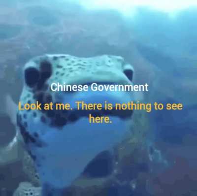 [REDACTED]