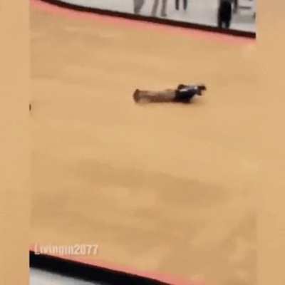 When you fail, you fail with style