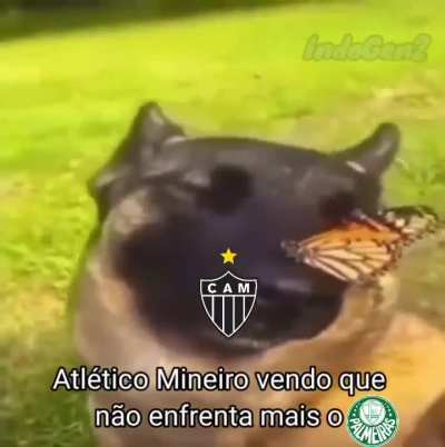 Essa pequena parte da minha vida se chama felicidade