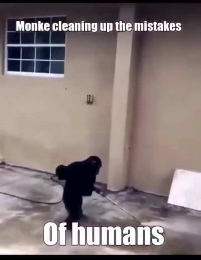 Learn from monke 😇😤