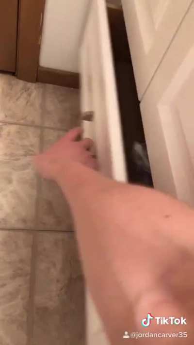 Day 48 alone in quarantine. This is the only subreddit that will laugh at my humor.